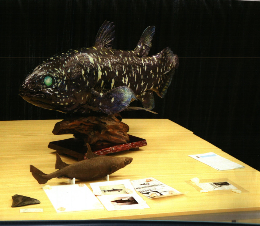 Coelacanthiformes